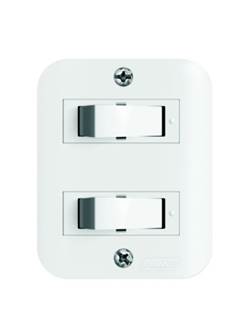 INTER. DUPLO SOBREPOR 10A CZ ROMAZI