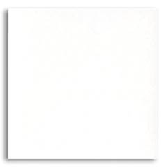 CER. CERBRAS QUARTZO BRANCO 46X46