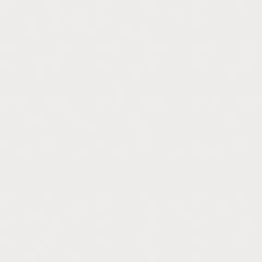 PORC. TECNOGRES PTG58380R 58X58