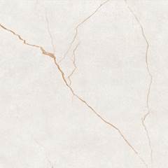 CER.INCENOR 63770 FASES DA VIDA 63X63