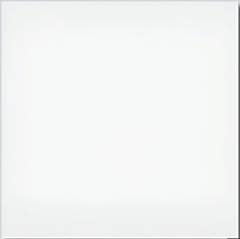 CERAMICA STELA NEVE 46X46