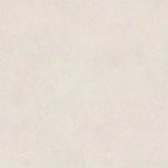 PORC. ELIZABETH IMIGRANTES ACT 100X100