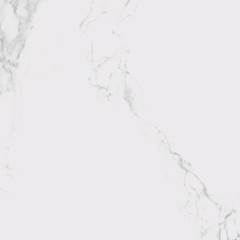 PORC. ELIZABETH LE BLANC POL. 84X84