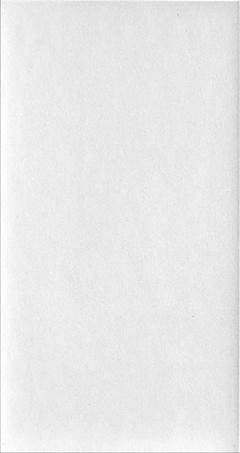 REV CERBRAS C QUARTZO BRANCO 32X65